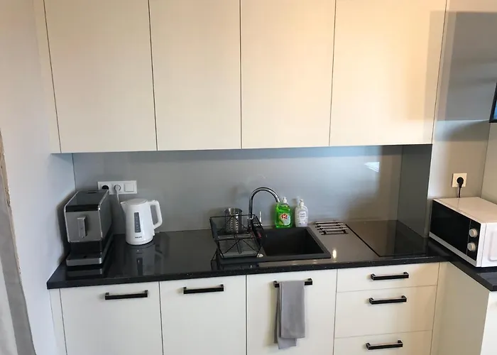 Klimatyzowany Apartament Wenecja Z Garazem Podziemnym